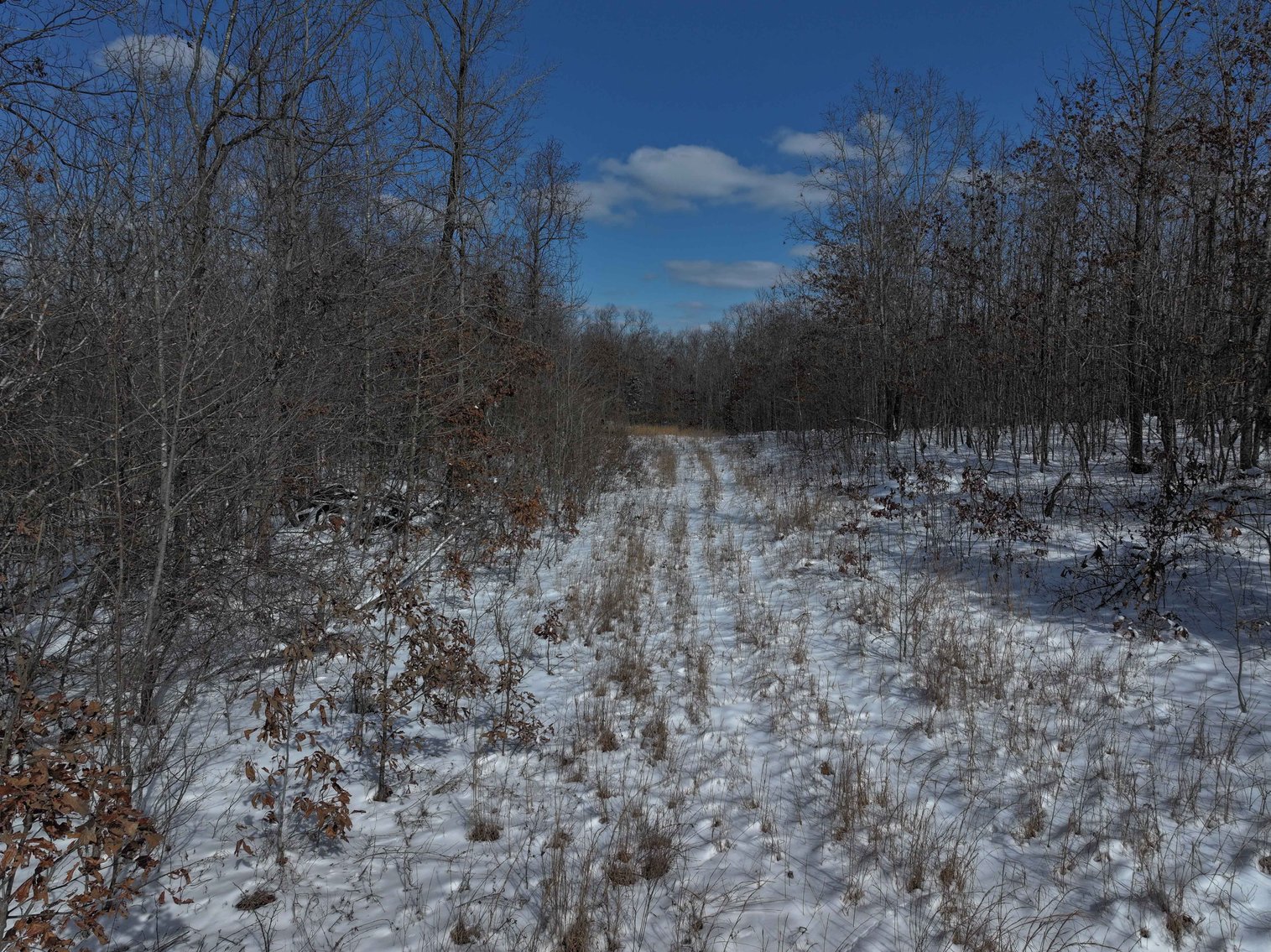 Image for 70 Acres+\- BCR 710, Zalma MO 63787, MLS 25009340