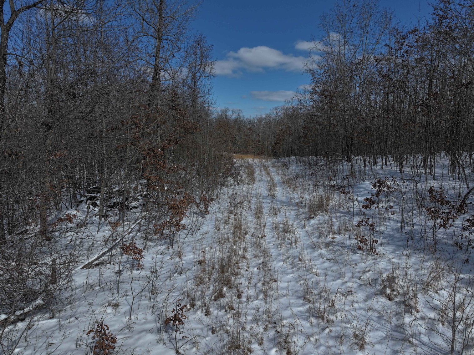 Image for 70 Acres+\- BCR 710, Zalma MO 63787, MLS 25009340