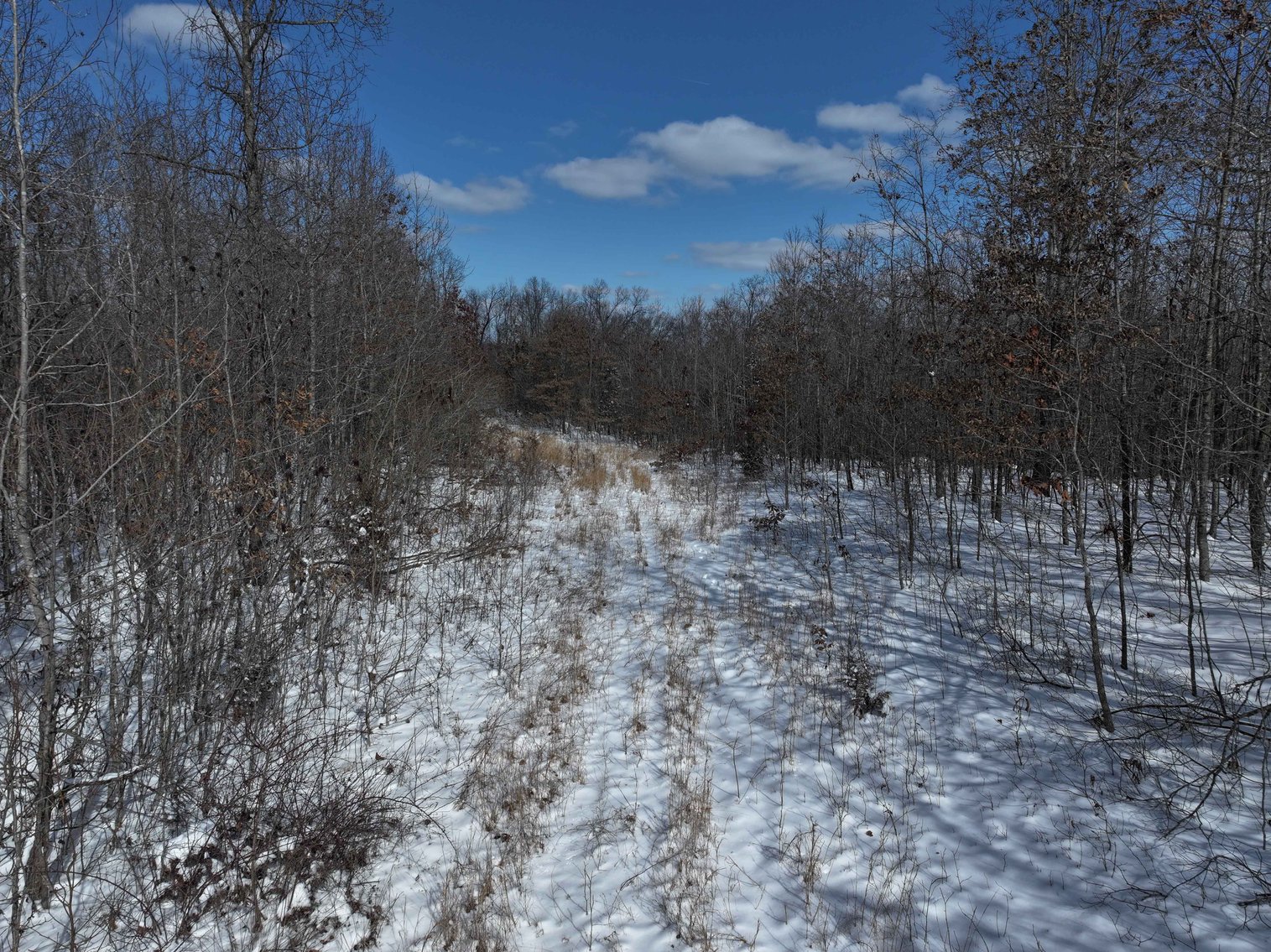 Image for 70 Acres+\- BCR 710, Zalma MO 63787, MLS 25009340