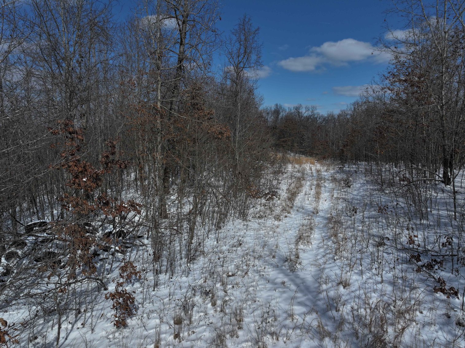 Image for 70 Acres+\- BCR 710, Zalma MO 63787, MLS 25009340