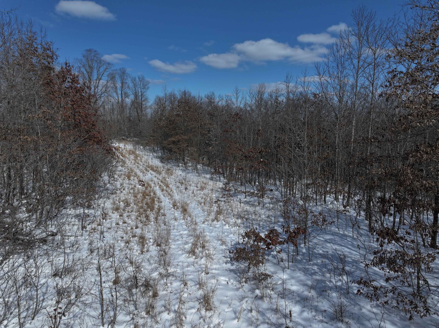 Image for 70 Acres+\- BCR 710, Zalma MO 63787, MLS 25009340