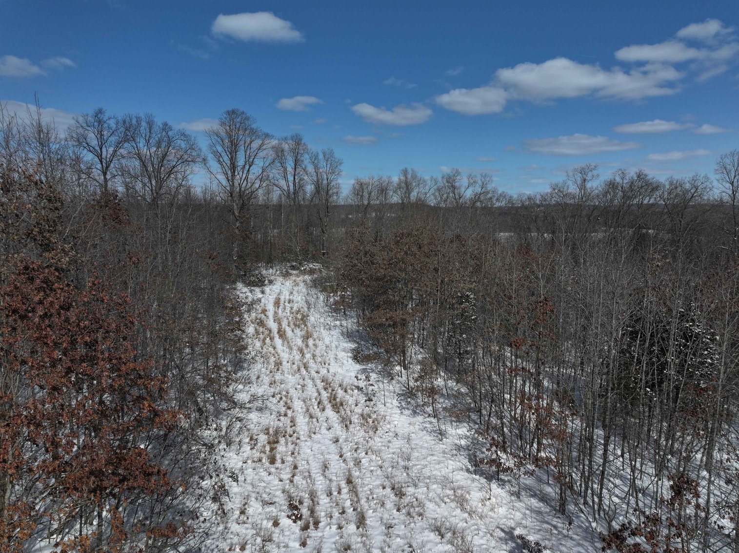 Image for 70 Acres+\- BCR 710, Zalma MO 63787, MLS 25009340