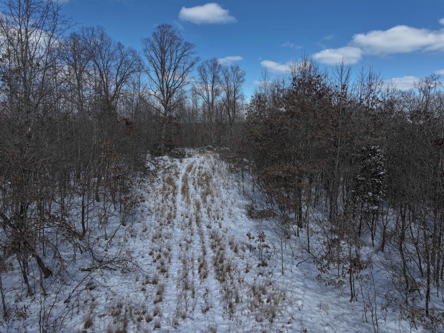 Image for 70 Acres+\- BCR 710, Zalma MO 63787, MLS 25009340