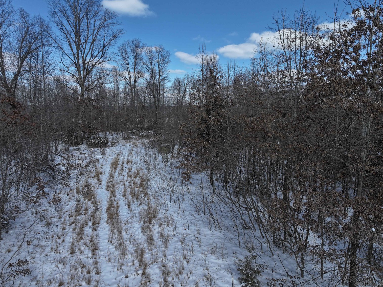 Image for 70 Acres+\- BCR 710, Zalma MO 63787, MLS 25009340