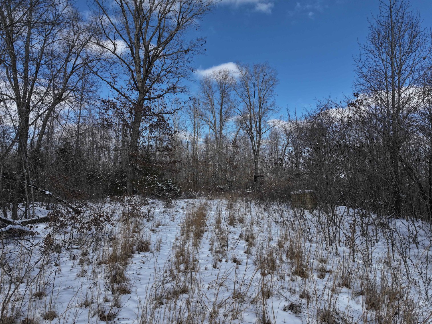 Image for 70 Acres+\- BCR 710, Zalma MO 63787, MLS 25009340