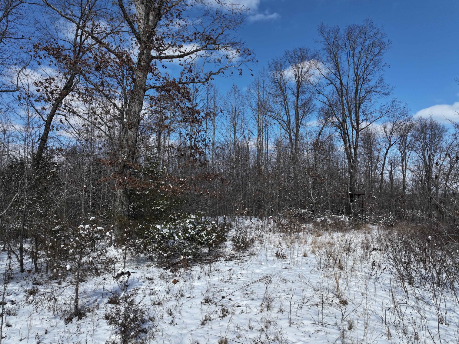 Image for 70 Acres+\- BCR 710, Zalma MO 63787, MLS 25009340