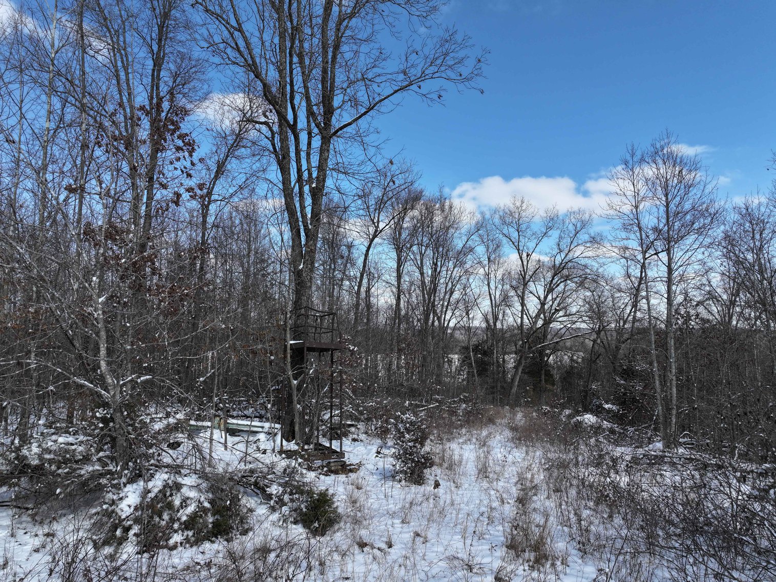 Image for 70 Acres+\- BCR 710, Zalma MO 63787, MLS 25009340