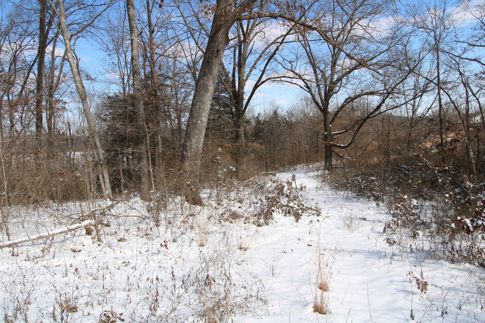 Image for 70 Acres+\- BCR 710, Zalma MO 63787, MLS 25009340