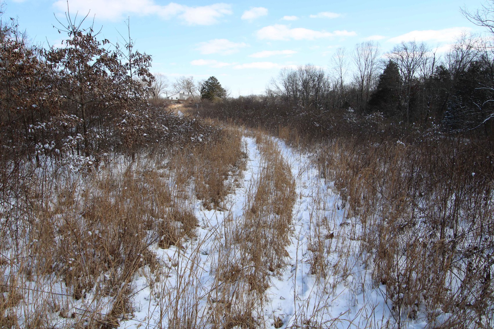 Image for 70 Acres+\- BCR 710, Zalma MO 63787, MLS 25009340