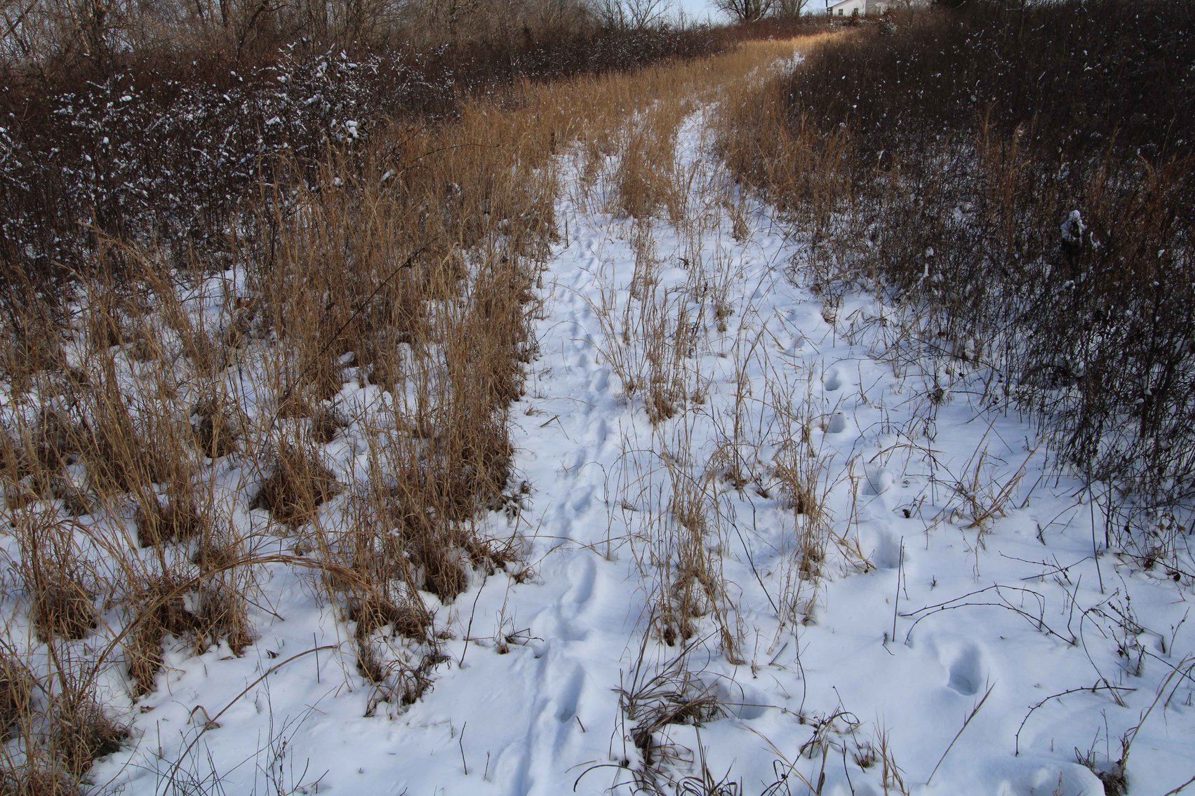 Image for 70 Acres+\- BCR 710, Zalma MO 63787, MLS 25009340