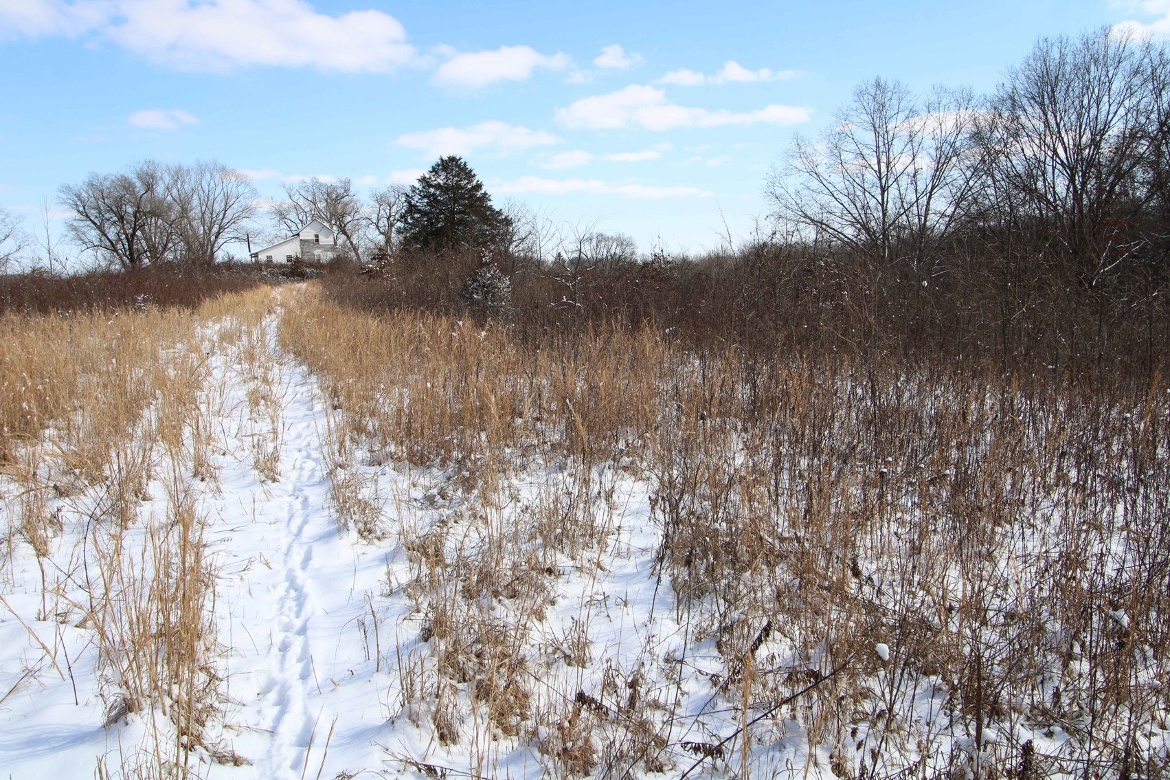 Image for 70 Acres+\- BCR 710, Zalma MO 63787, MLS 25009340