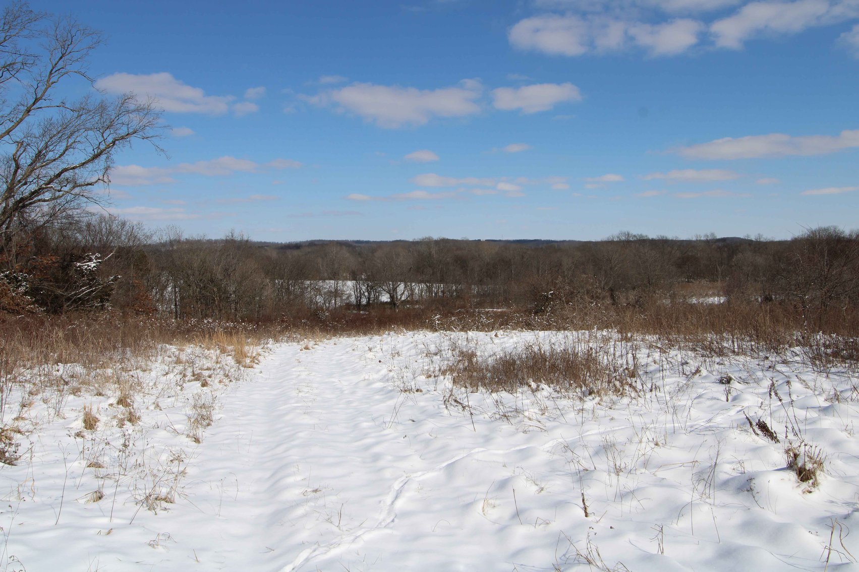 Image for 70 Acres+\- BCR 710, Zalma MO 63787, MLS 25009340