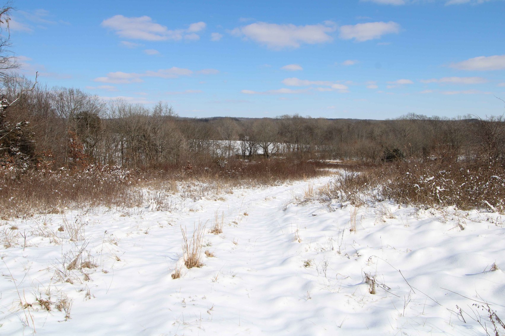 Image for 70 Acres+\- BCR 710, Zalma MO 63787, MLS 25009340