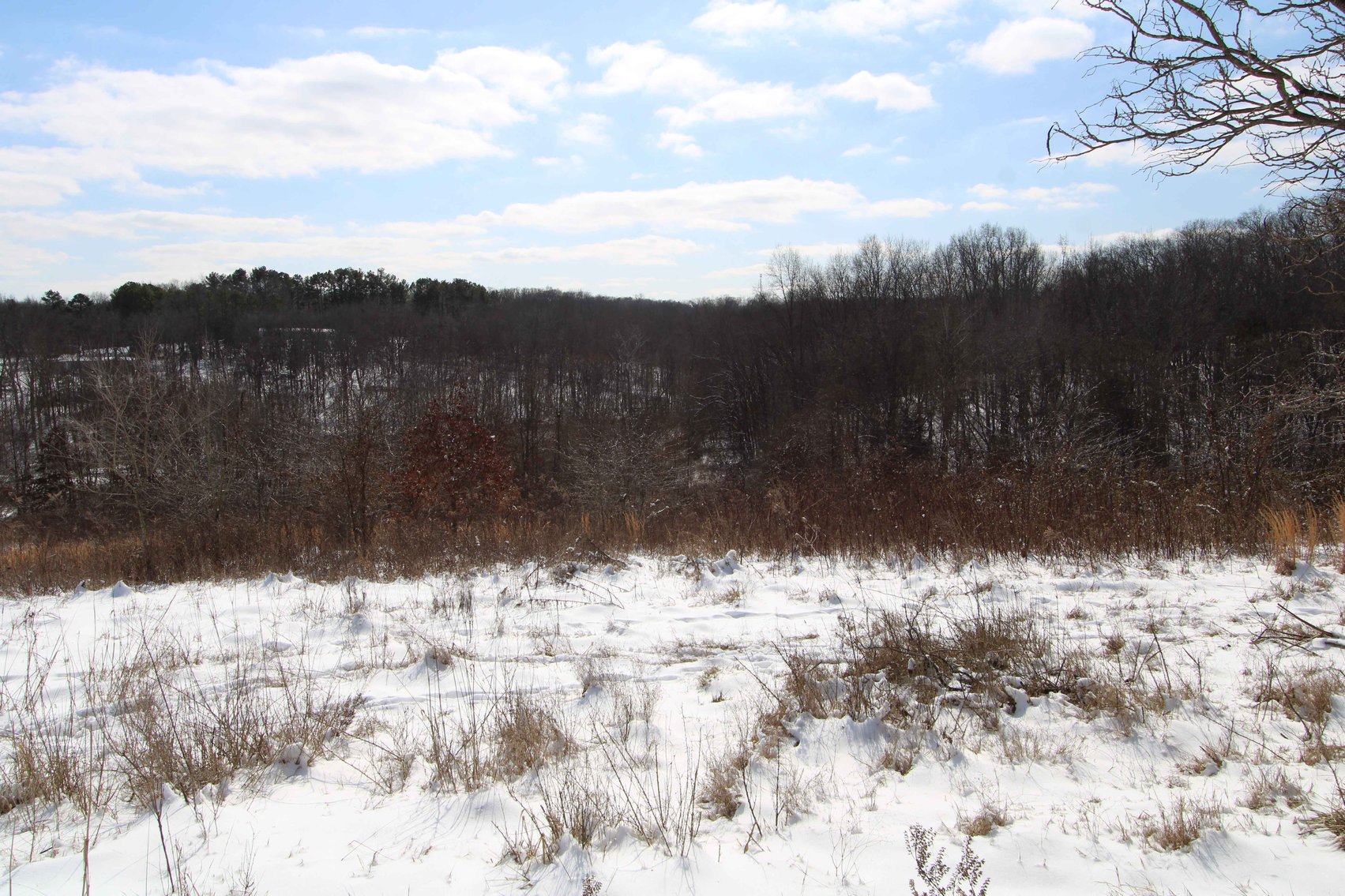 Image for 70 Acres+\- BCR 710, Zalma MO 63787, MLS 25009340