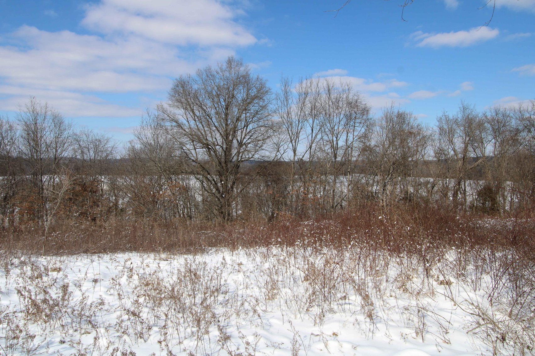 Image for 70 Acres+\- BCR 710, Zalma MO 63787, MLS 25009340