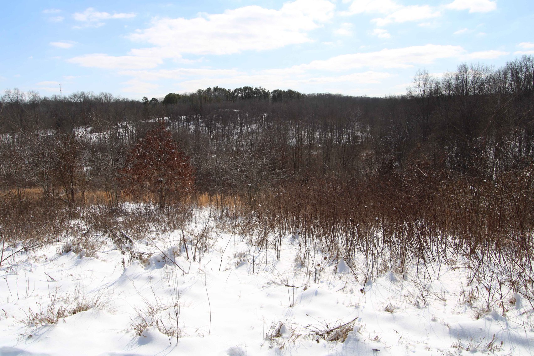 Image for 70 Acres+\- BCR 710, Zalma MO 63787, MLS 25009340