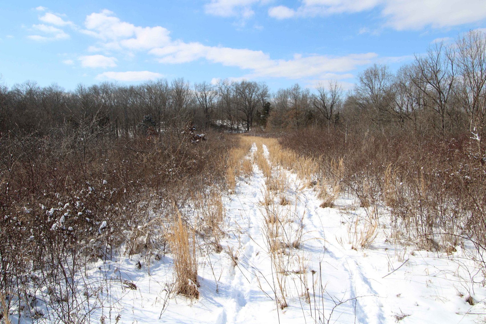 Image for 70 Acres+\- BCR 710, Zalma MO 63787, MLS 25009340