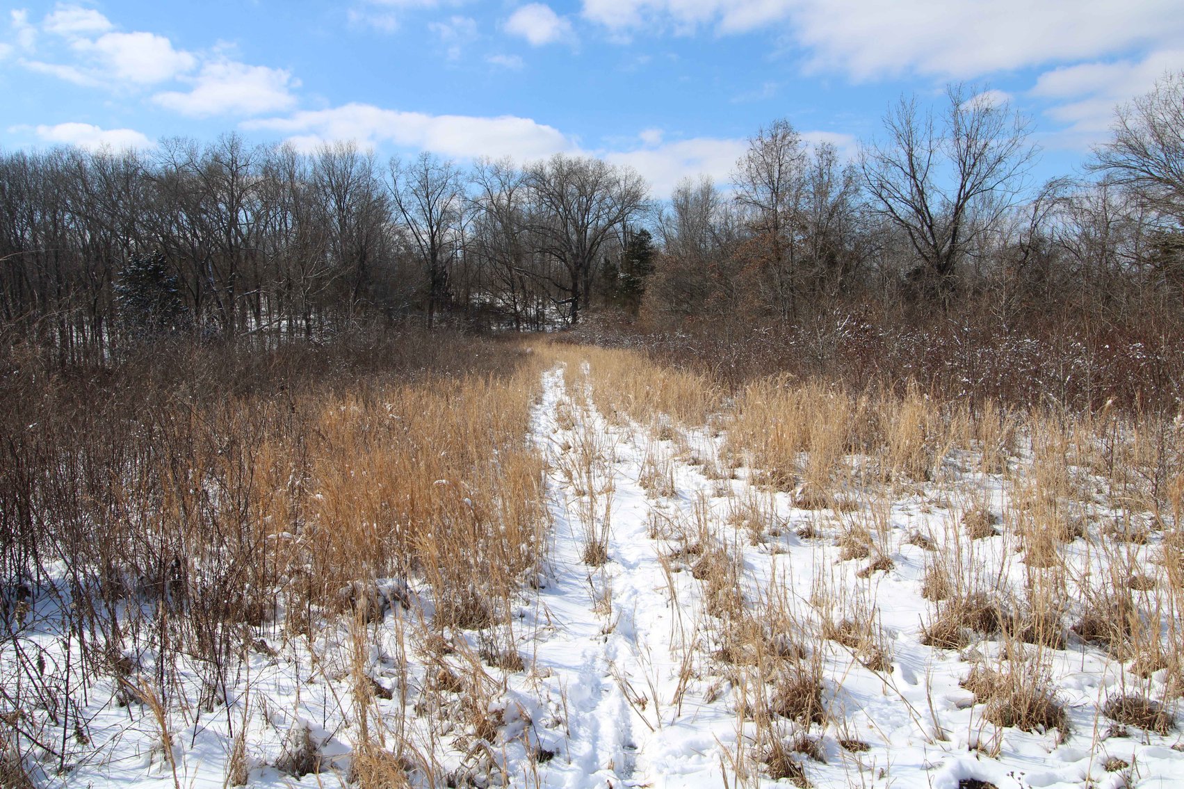 Image for 70 Acres+\- BCR 710, Zalma MO 63787, MLS 25009340