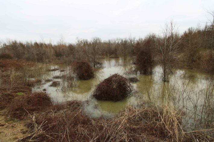 Image for 163.02 Acres +/-, County Line Road 832, Sikeston, MO 63801, MLS #25014302