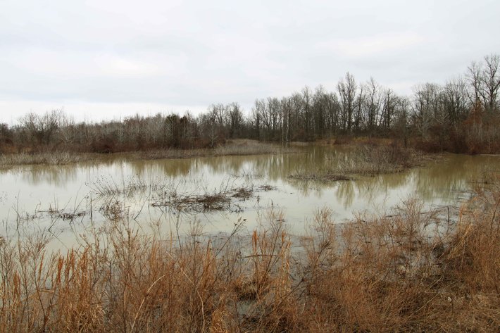 Image for 163.02 Acres +/-, County Line Road 832, Sikeston, MO 63801, MLS #25014302