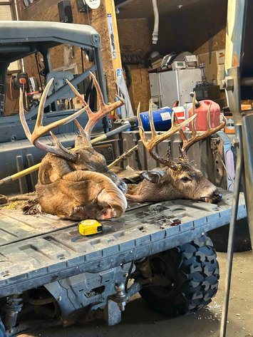 Image for 163.02 Acres +/-, County Line Road 832, Sikeston, MO 63801, MLS #25014302