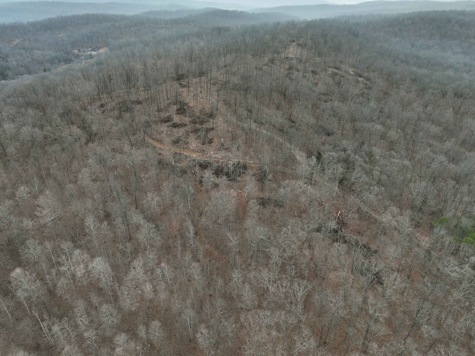 Image for 84.02 Acres +/-, BCR 532, Zalma MO 63787, MLS #25015211