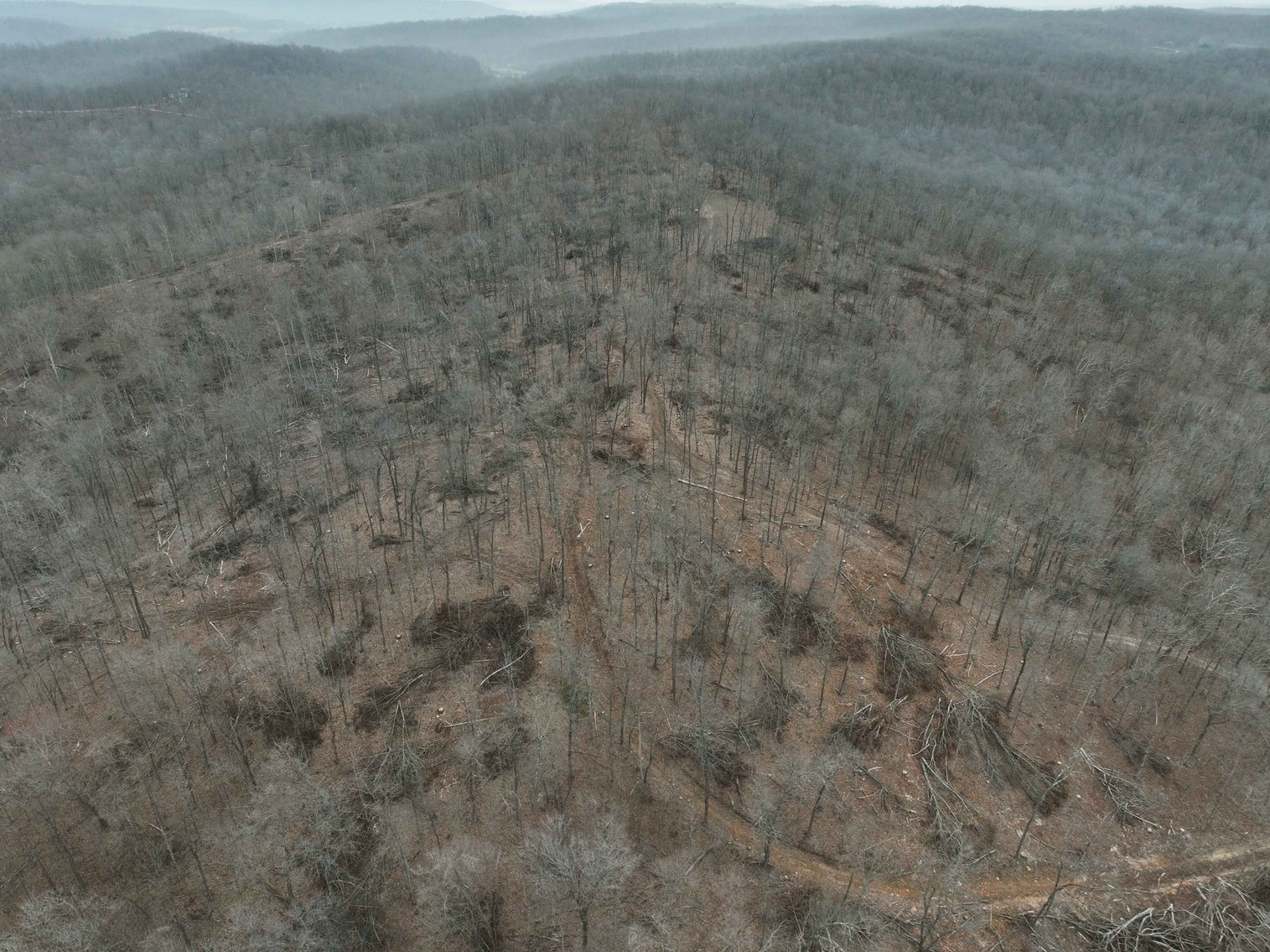 Image for 84.02 Acres +/-, BCR 532, Zalma MO 63787, MLS #25015211