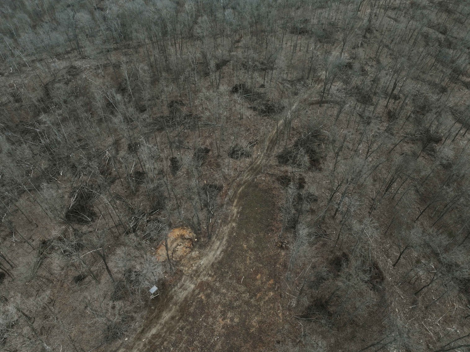 Image for 84.02 Acres +/-, BCR 532, Zalma MO 63787, MLS #25015211