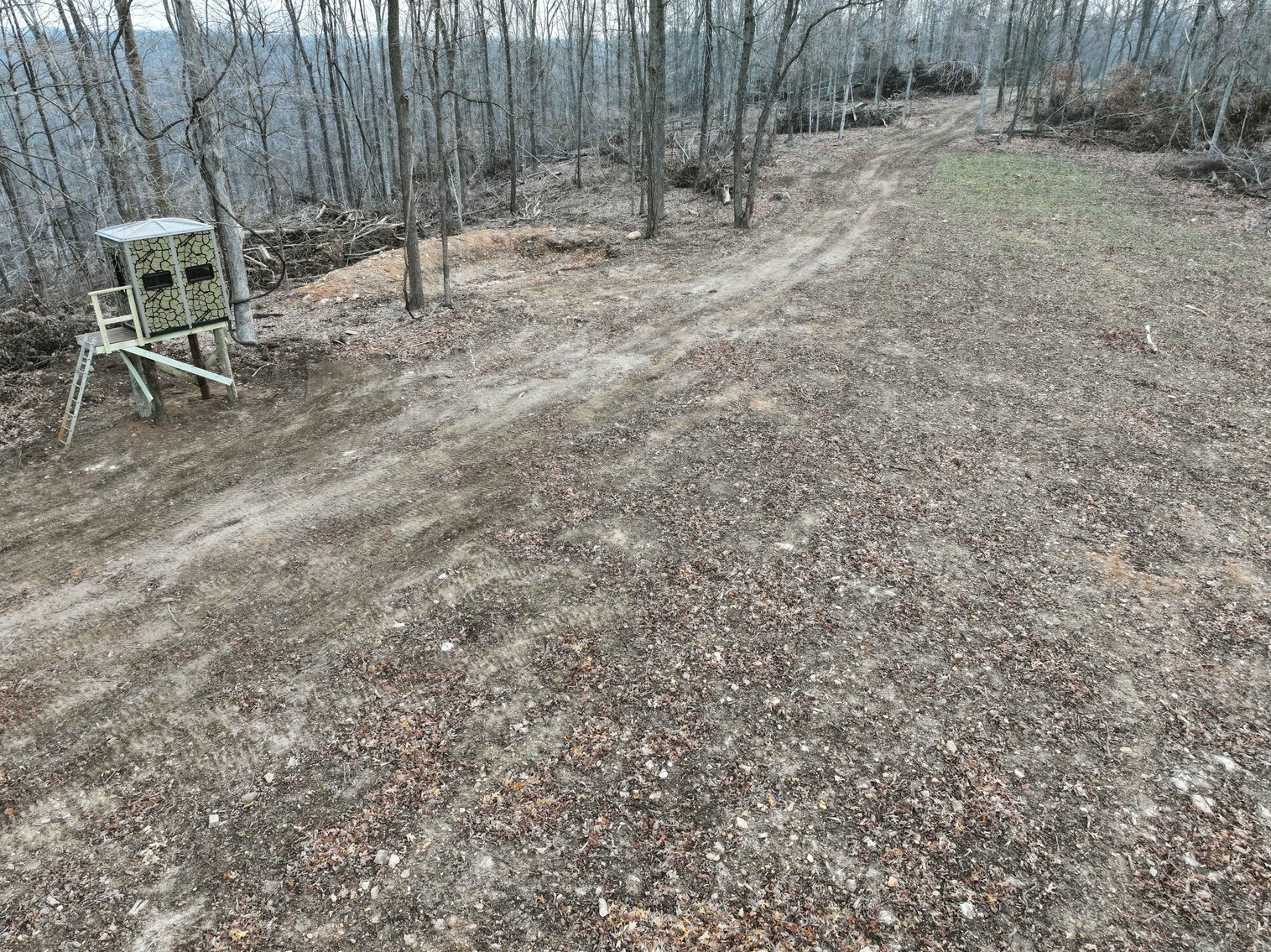 Image for 84.02 Acres +/-, BCR 532, Zalma MO 63787, MLS #25015211