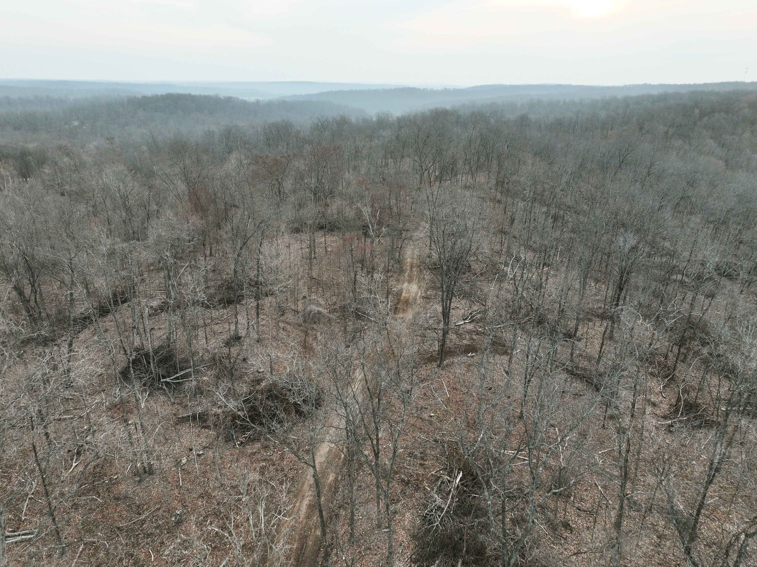 Image for 84.02 Acres +/-, BCR 532, Zalma MO 63787, MLS #25015211