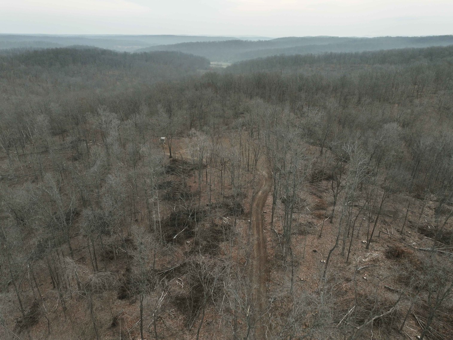 Image for 84.02 Acres +/-, BCR 532, Zalma MO 63787, MLS #25015211