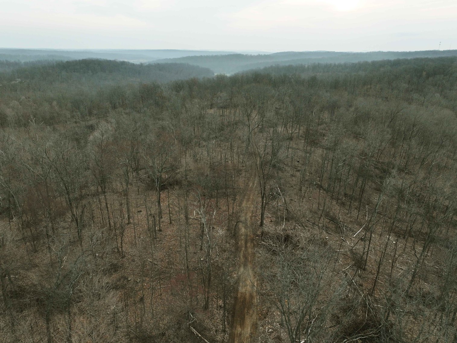 Image for 84.02 Acres +/-, BCR 532, Zalma MO 63787, MLS #25015211