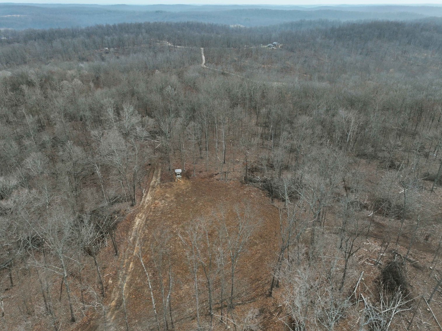 Image for 84.02 Acres +/-, BCR 532, Zalma MO 63787, MLS #25015211