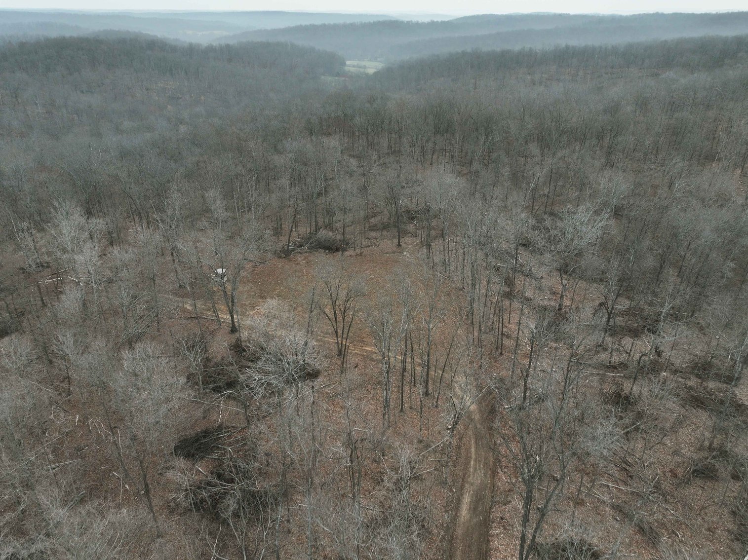 Image for 84.02 Acres +/-, BCR 532, Zalma MO 63787, MLS #25015211