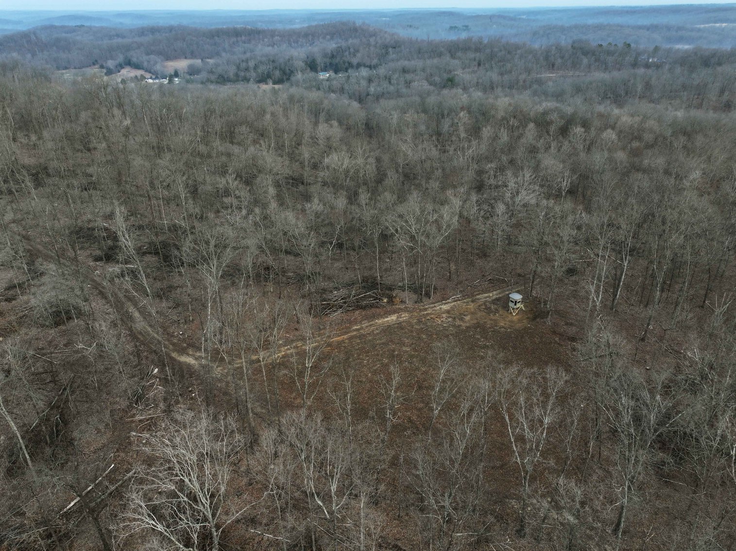 Image for 84.02 Acres +/-, BCR 532, Zalma MO 63787, MLS #25015211