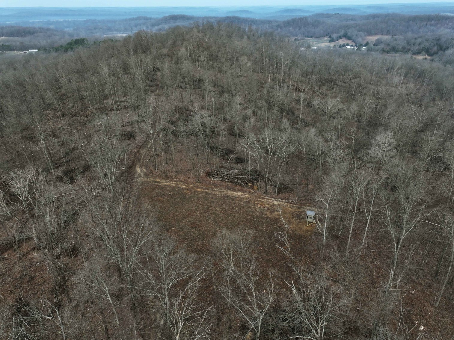 Image for 84.02 Acres +/-, BCR 532, Zalma MO 63787, MLS #25015211