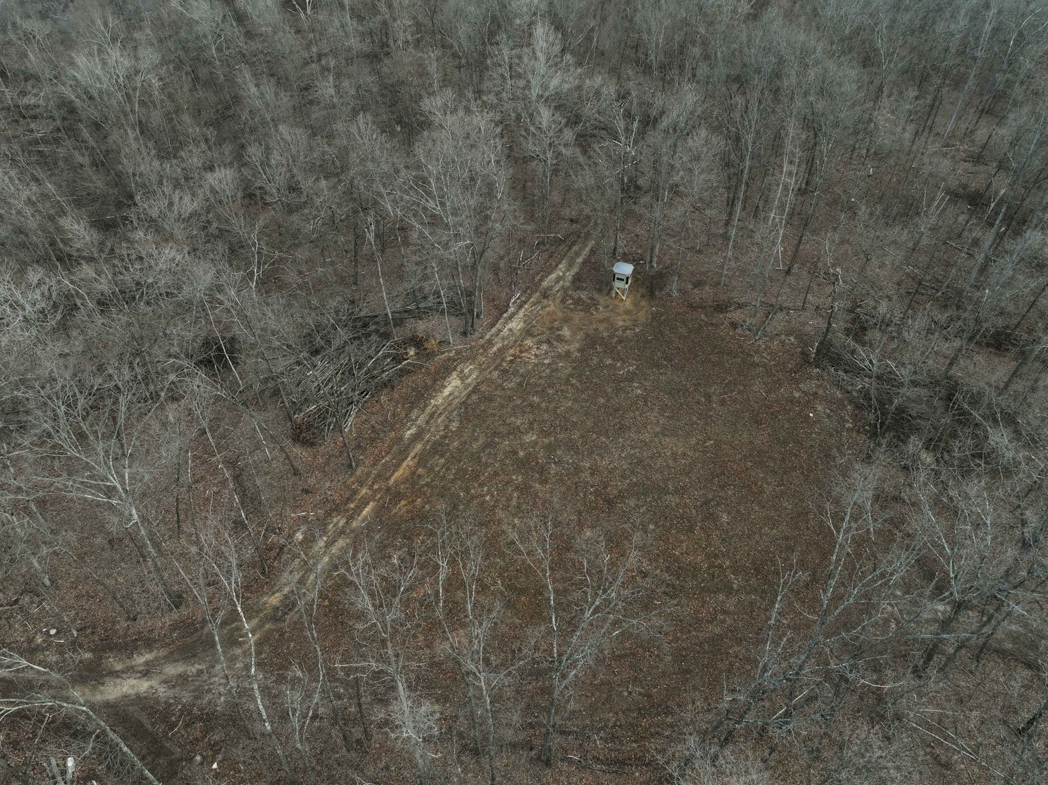 Image for 84.02 Acres +/-, BCR 532, Zalma MO 63787, MLS #25015211