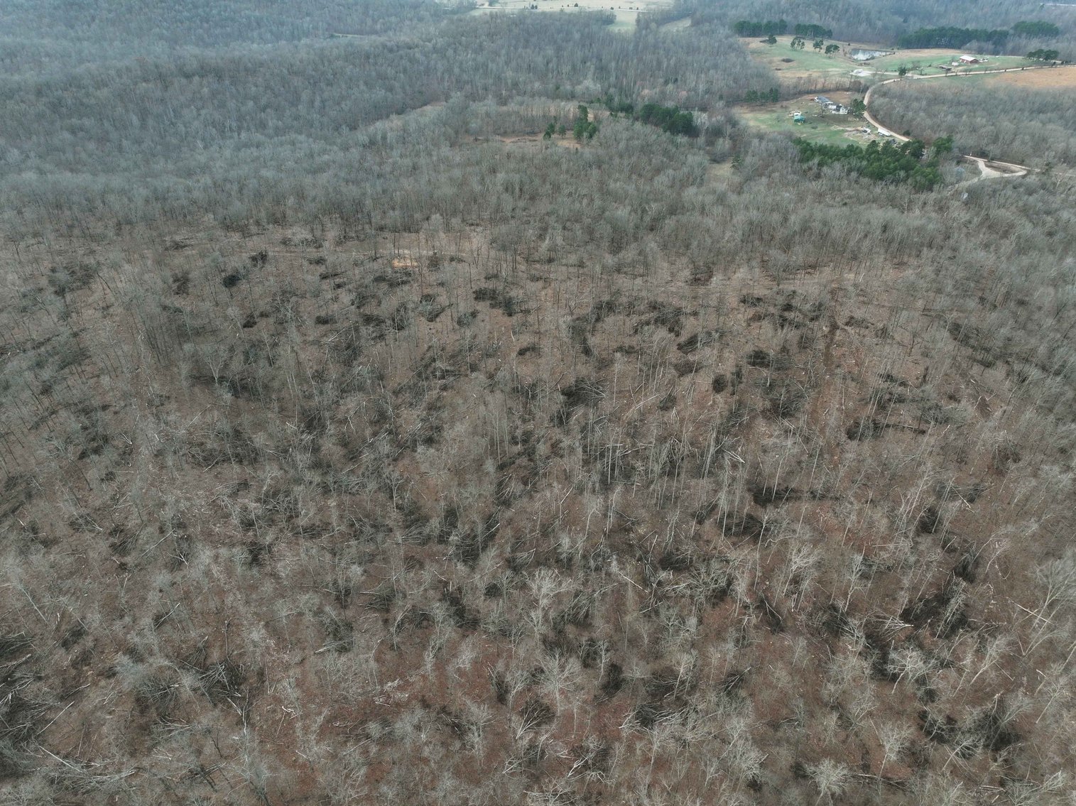 Image for 84.02 Acres +/-, BCR 532, Zalma MO 63787, MLS #25015211