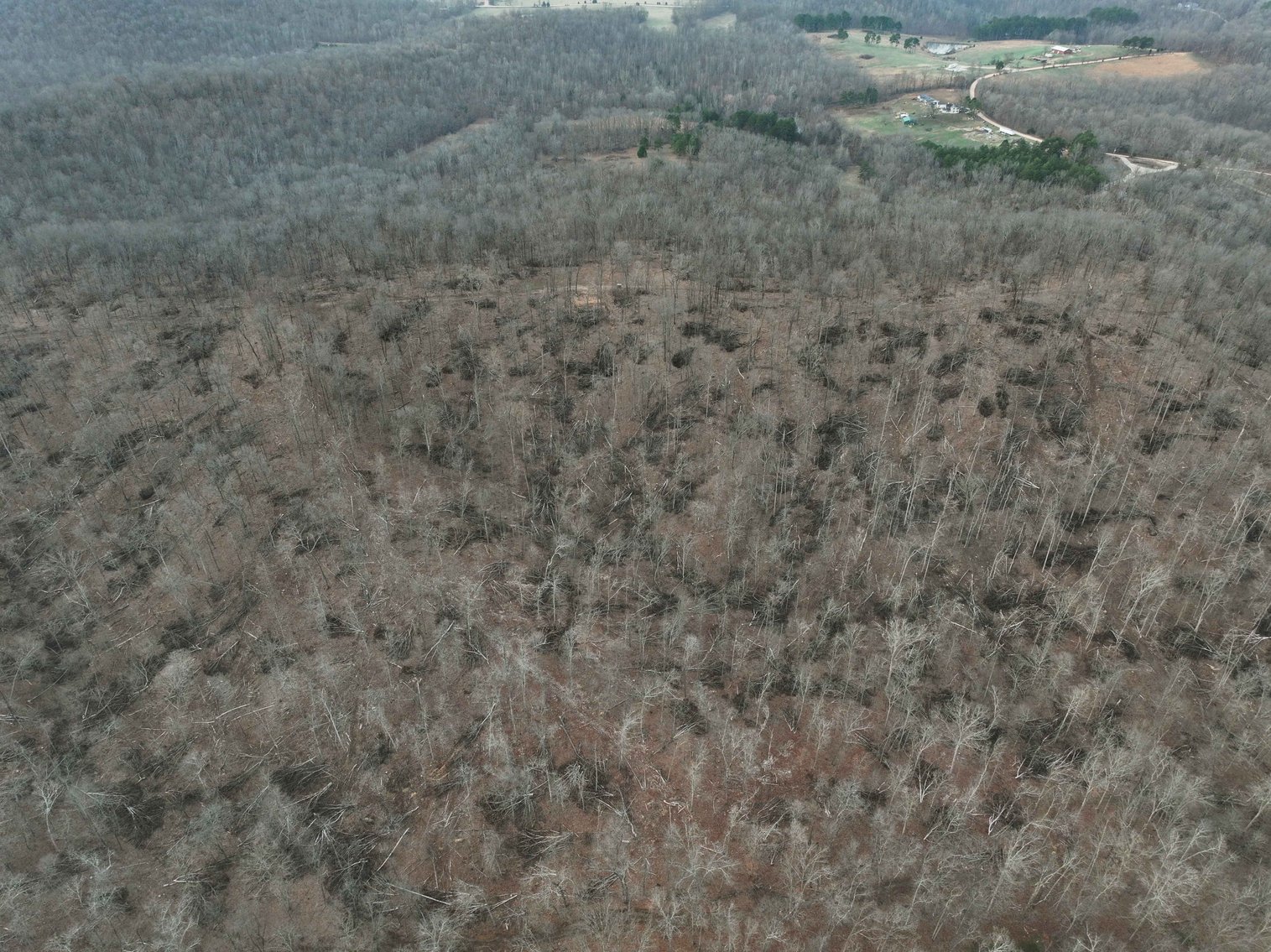 Image for 84.02 Acres +/-, BCR 532, Zalma MO 63787, MLS #25015211