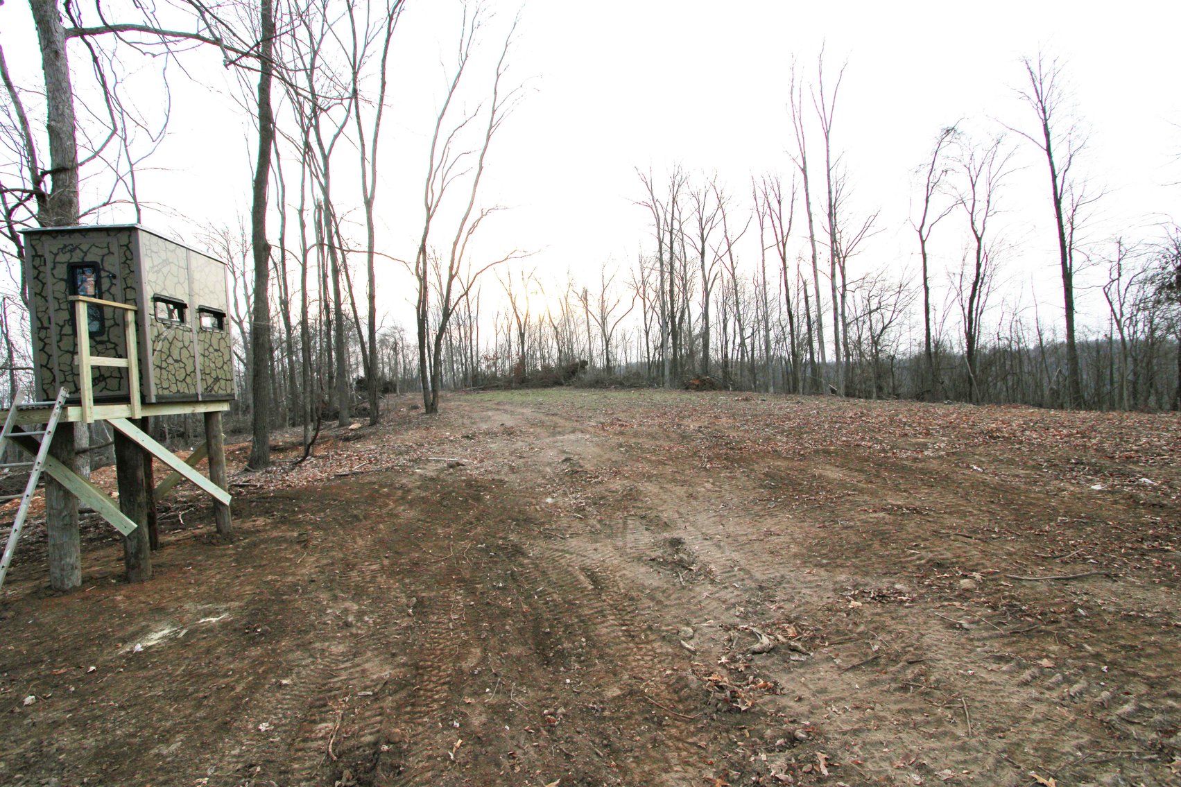 Image for 84.02 Acres +/-, BCR 532, Zalma MO 63787, MLS #25015211