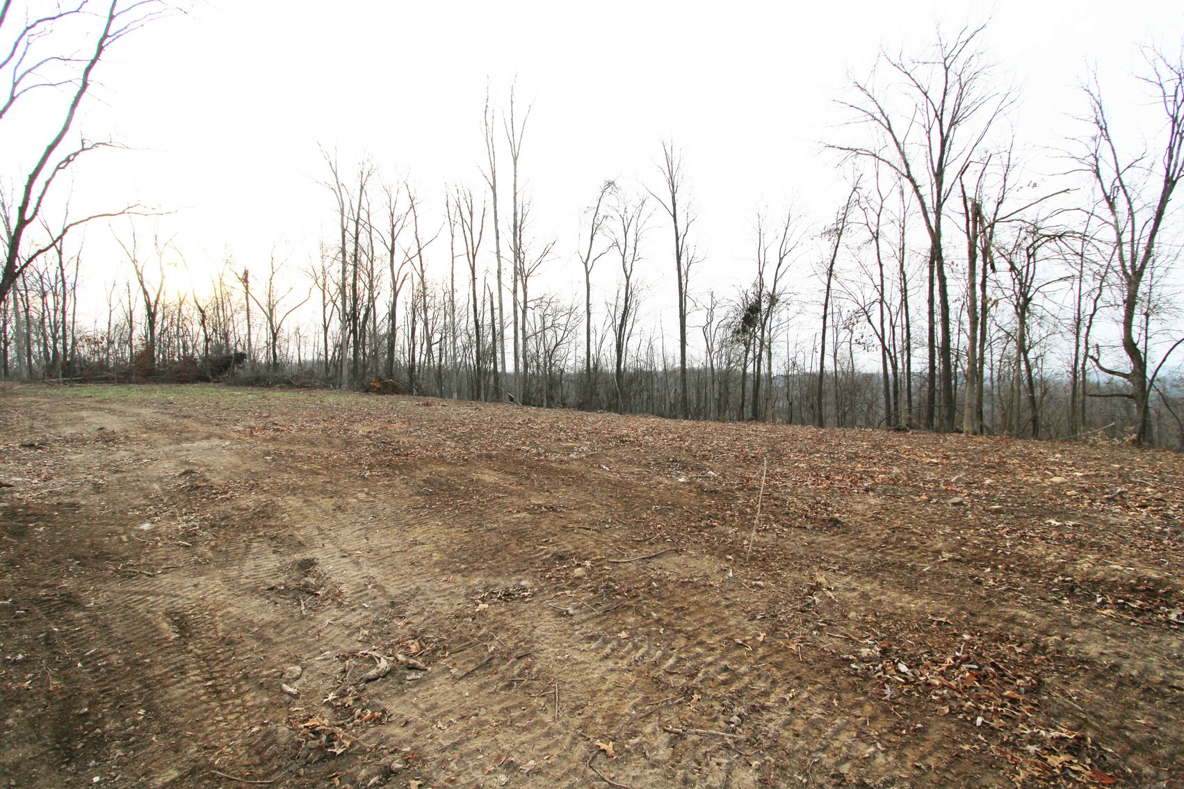 Image for 84.02 Acres +/-, BCR 532, Zalma MO 63787, MLS #25015211