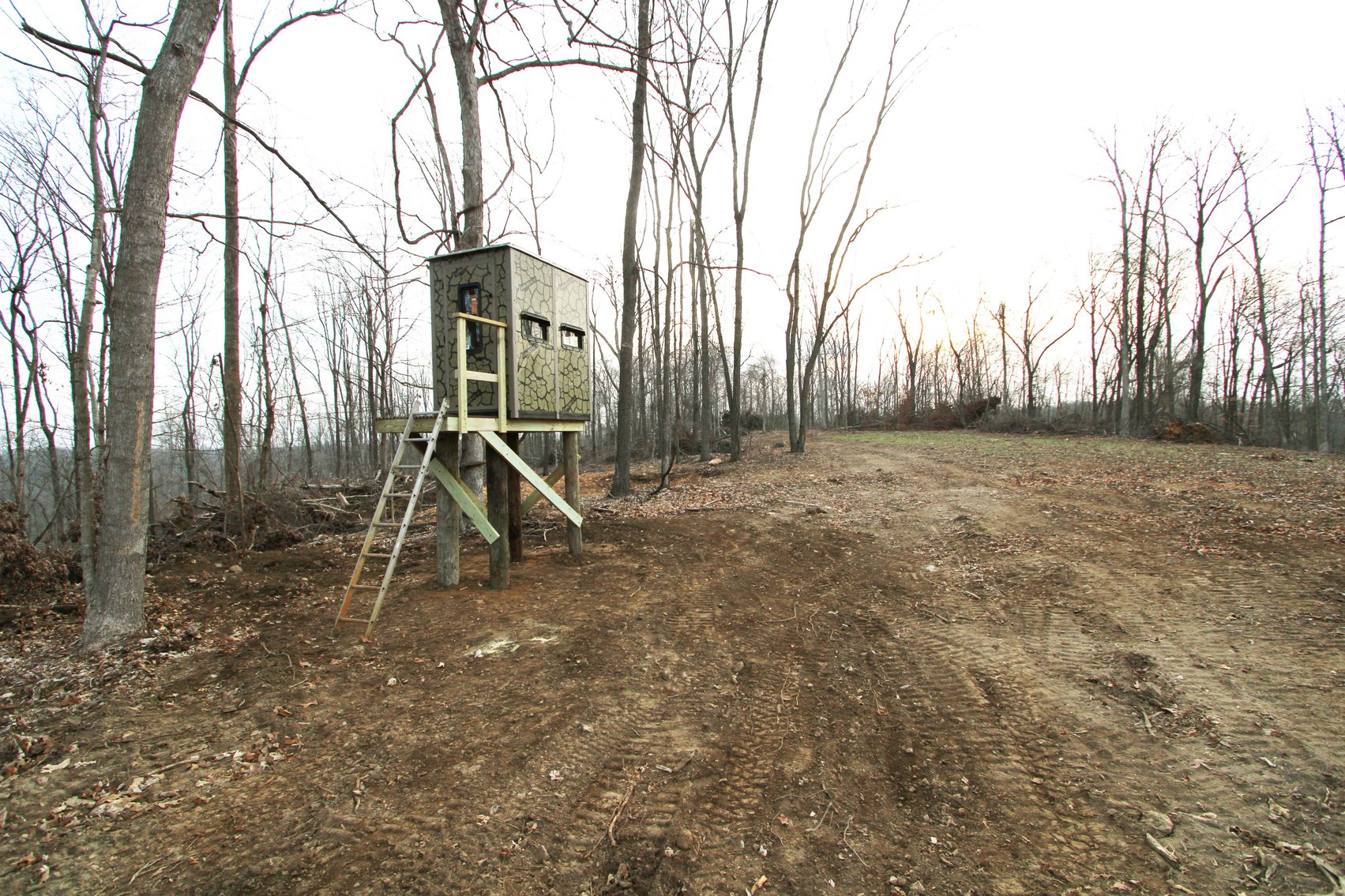 Image for 84.02 Acres +/-, BCR 532, Zalma MO 63787, MLS #25015211