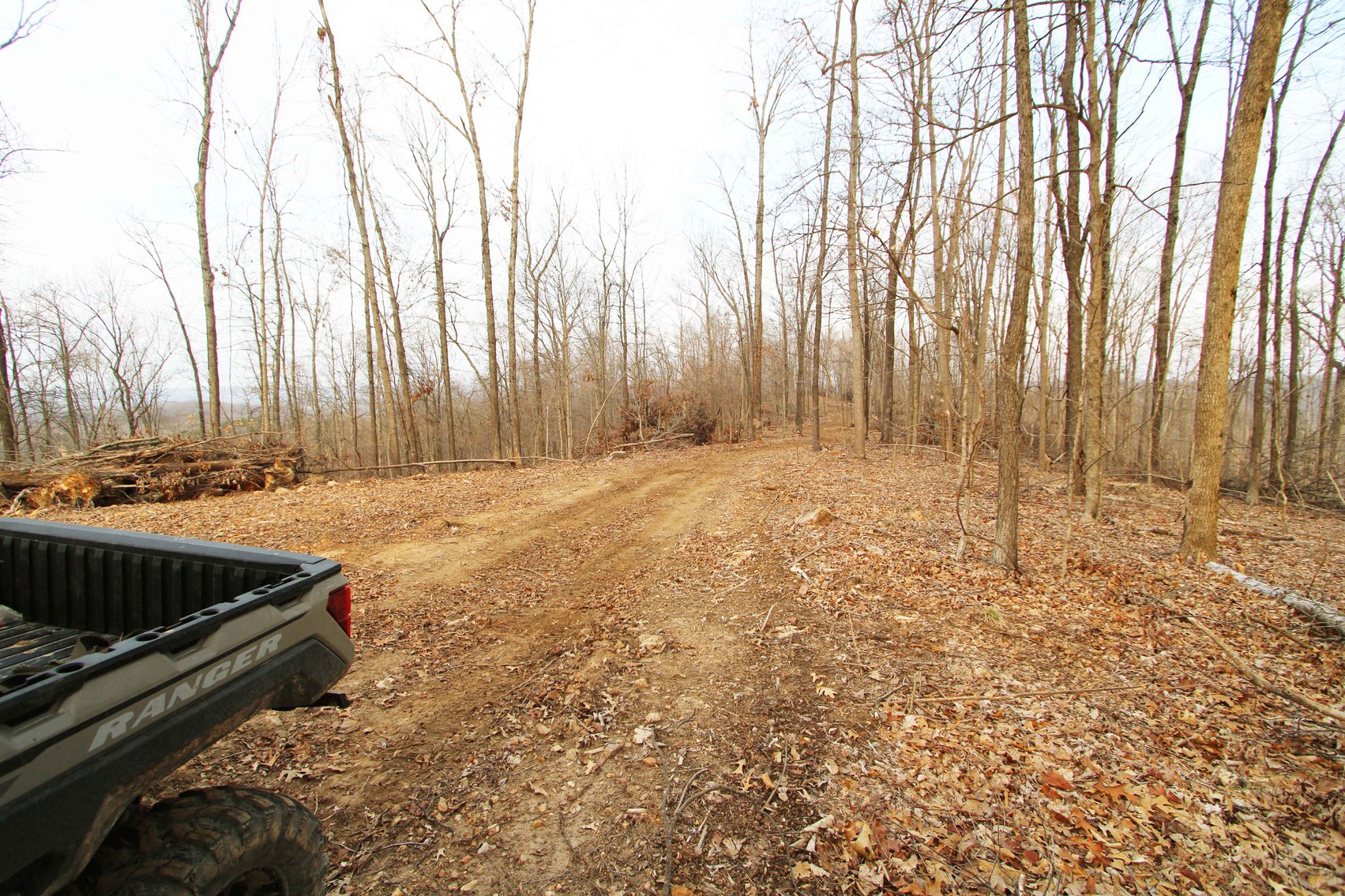 Image for 84.02 Acres +/-, BCR 532, Zalma MO 63787, MLS #25015211