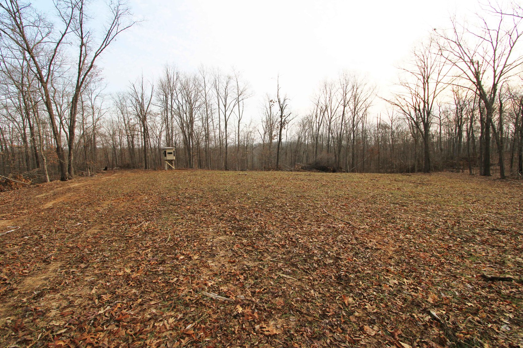 Image for 84.02 Acres +/-, BCR 532, Zalma MO 63787, MLS #25015211