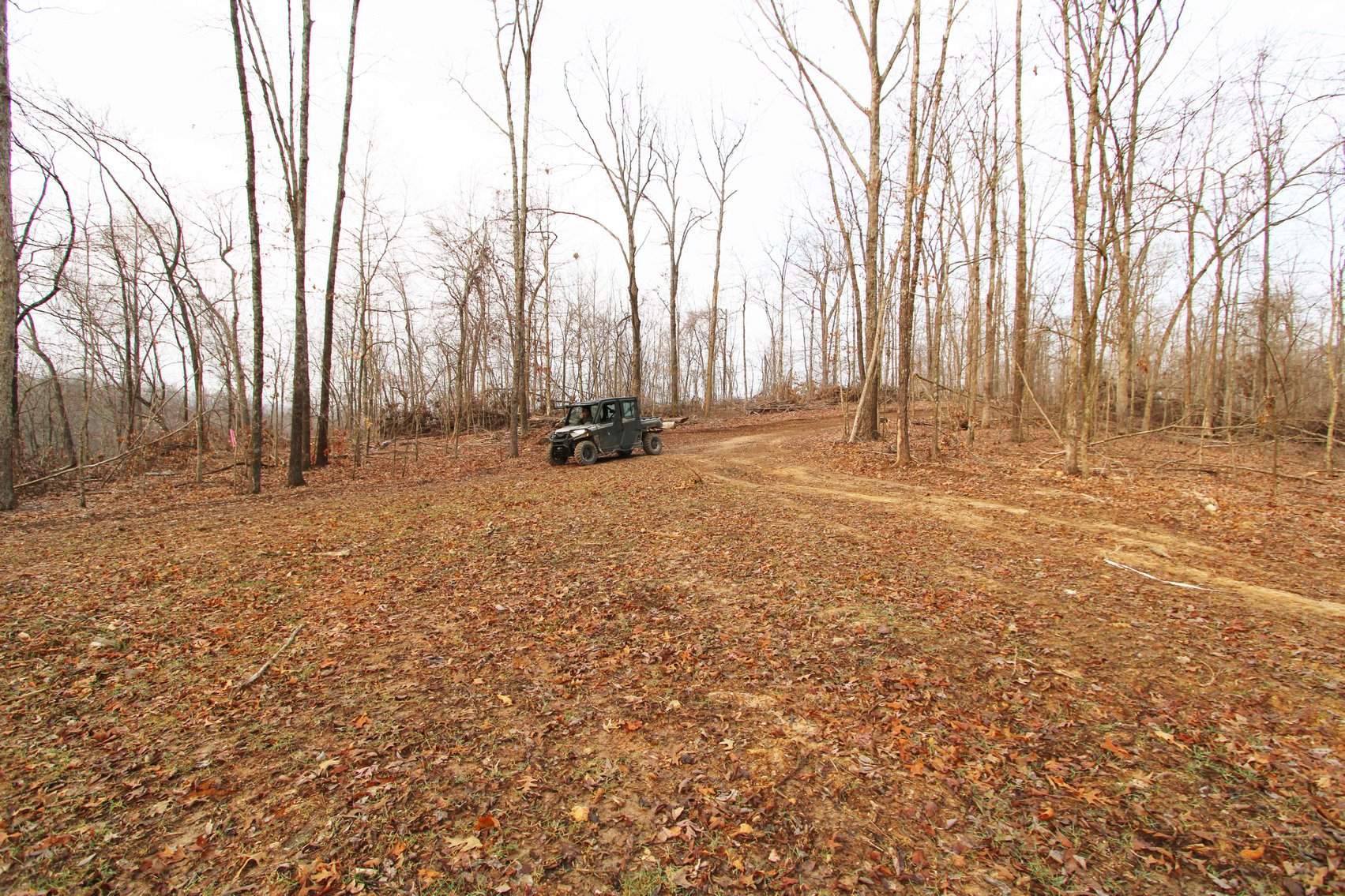 Image for 84.02 Acres +/-, BCR 532, Zalma MO 63787, MLS #25015211