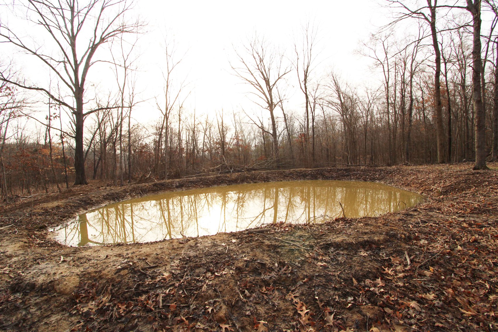 Image for 84.02 Acres +/-, BCR 532, Zalma MO 63787, MLS #25015211