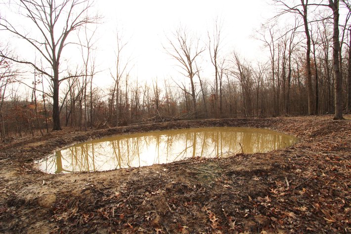 Image for 84.02 Acres +/-, BCR 532, Zalma MO 63787, MLS #25015211