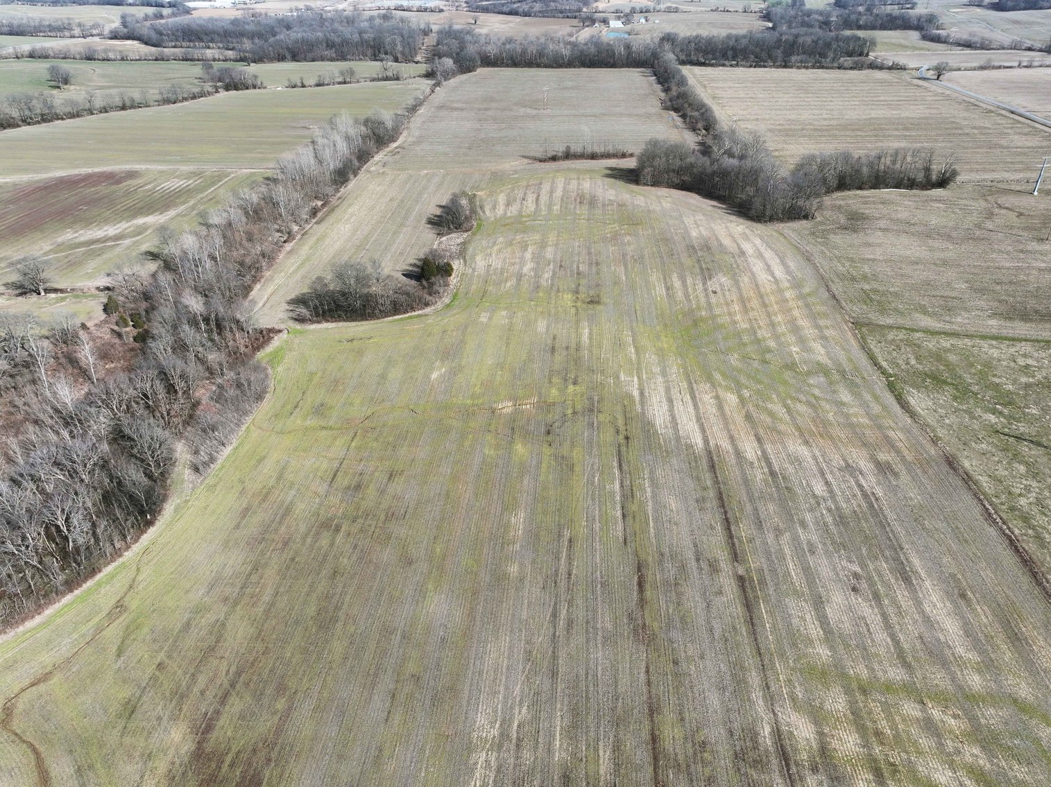 Image for Cape Girardeau County, 5709 Hwy 25 Gordonville, MO 63701, 126.77 Acres M/L