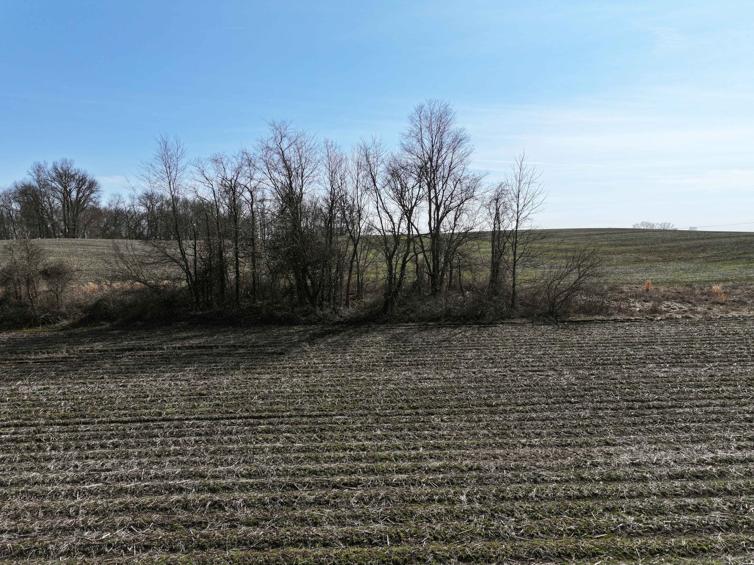 Image for Cape Girardeau County, 5709 Hwy 25 Gordonville, MO 63701, 126.77 Acres M/L