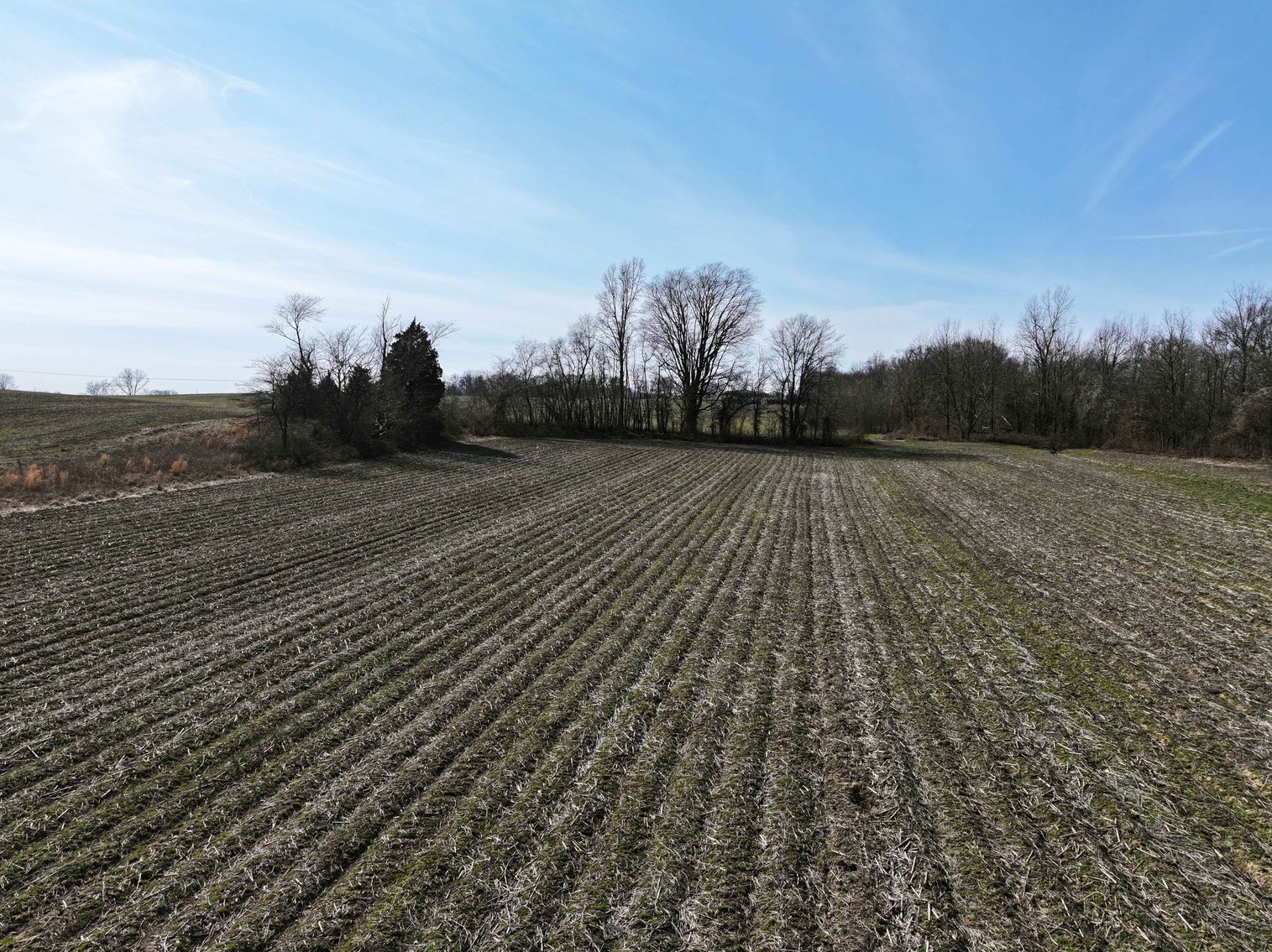 Image for Cape Girardeau County, 5709 Hwy 25 Gordonville, MO 63701, 126.77 Acres M/L